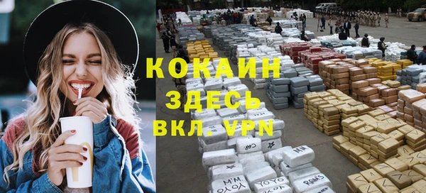 гашик Ладушкин