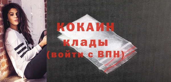 гашик Ладушкин