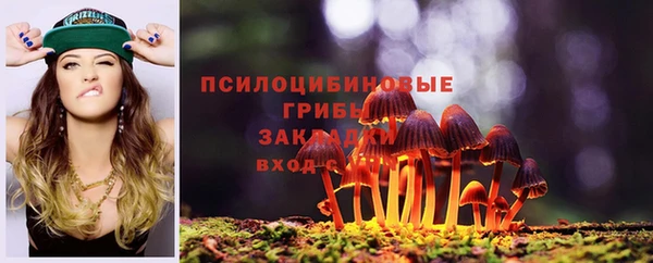 гашик Ладушкин