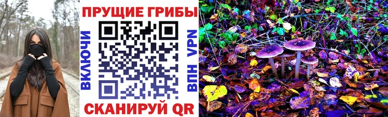Купить закладки  Жуковский  Псилоцибиновые грибы Cubensis 